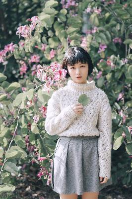 中文字幕在线观看